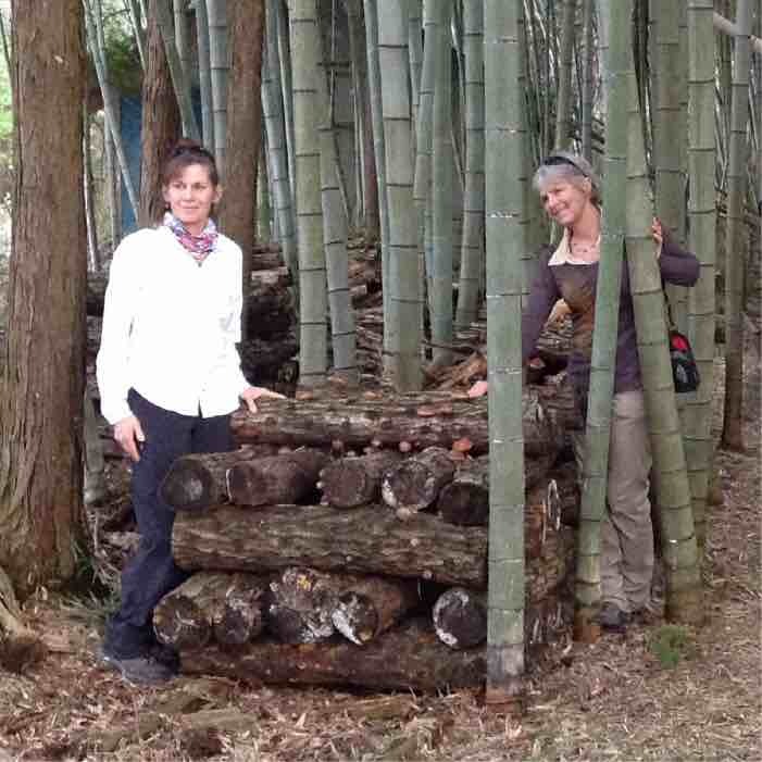 Crib stack for newly inoculated logs. 