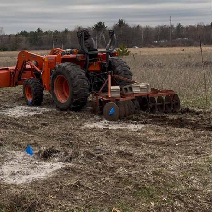 Discing soil for truffle orchard.