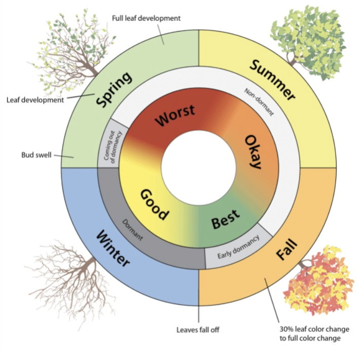 dormancy chart dormancy chart