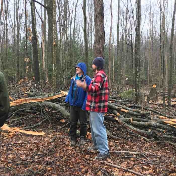 using wood for mushroom cultivation using wood for mushroom cultivation