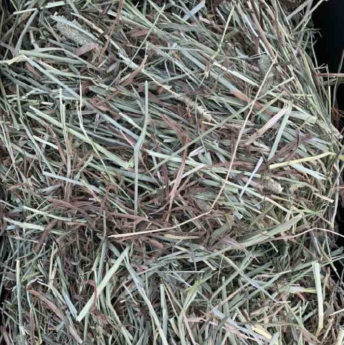 green hay