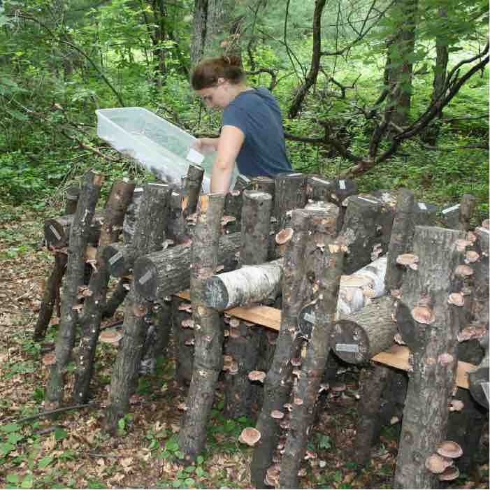 A high lean-to stacking configuration. 