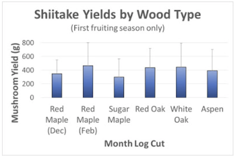 red-maple-graph.png