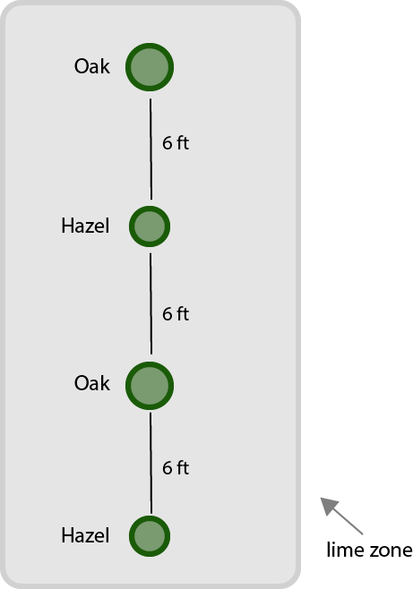 Row truffle planting